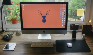 WFH Setup Tips