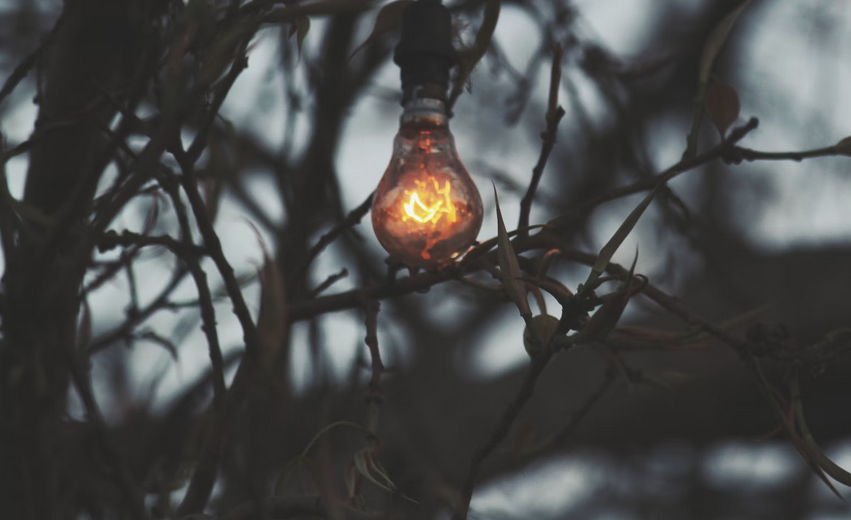 bulb